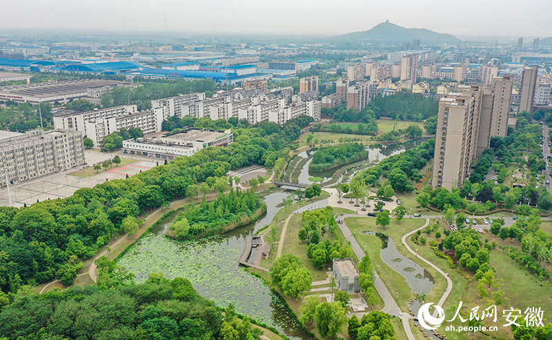俯瞰蘆塘生態(tài)公園。人民網(wǎng)記者 張俊攝