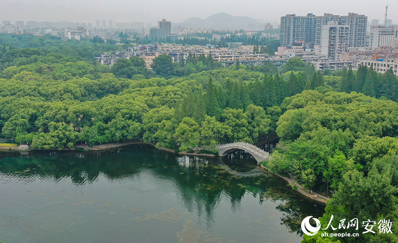 水清岸綠的馬鞍山雨山湖。人民網(wǎng)記者 李希蒙攝